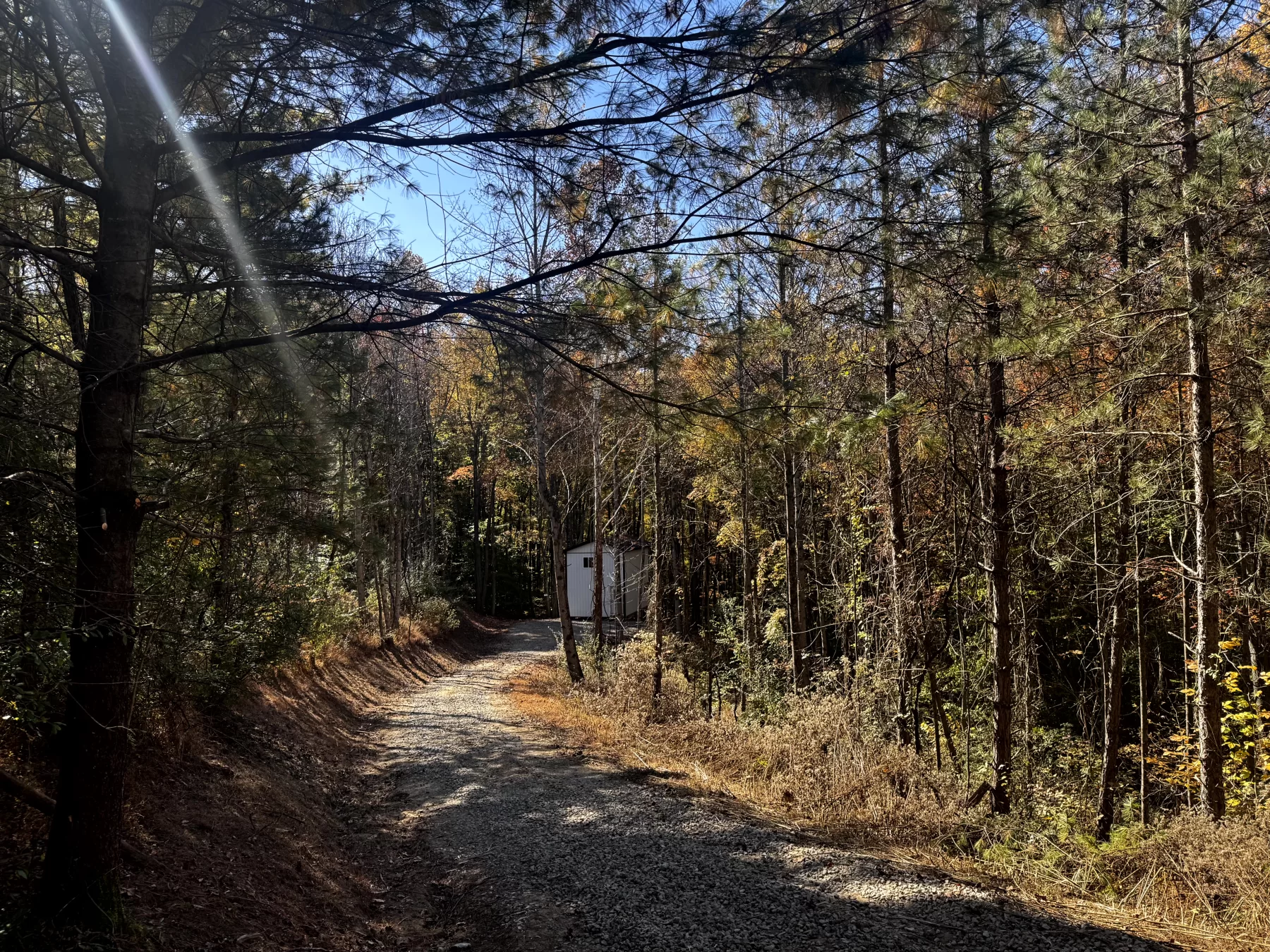 The Cabin at Poplar Ridge – Tract 13 property photo 17