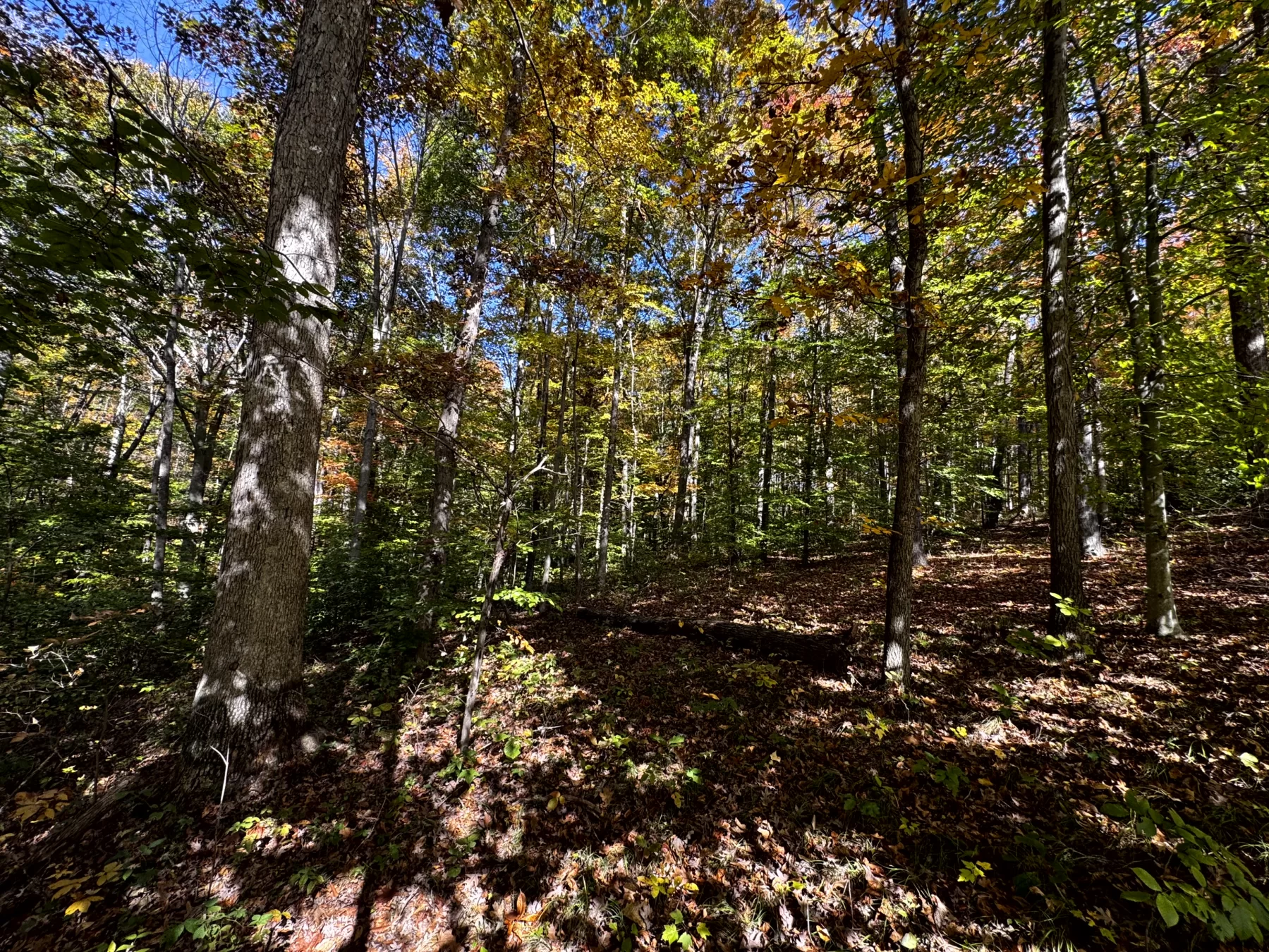 The Cabin at Poplar Ridge – Tract 13 property photo 18