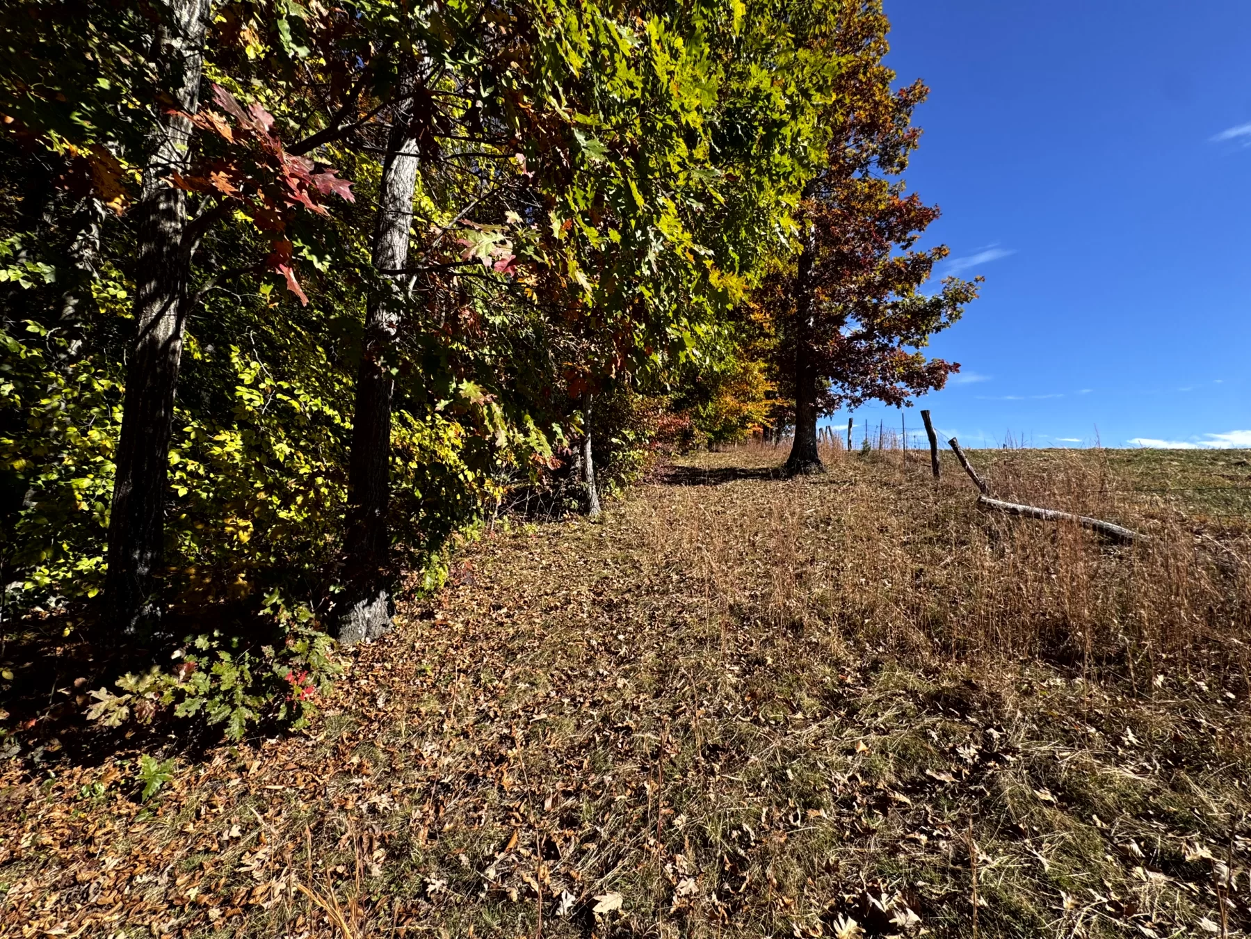 The Cabin at Poplar Ridge – Tract 13 property photo 19
